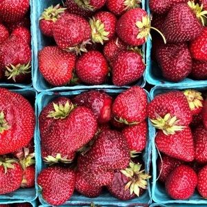 Meet your Posher, Till death